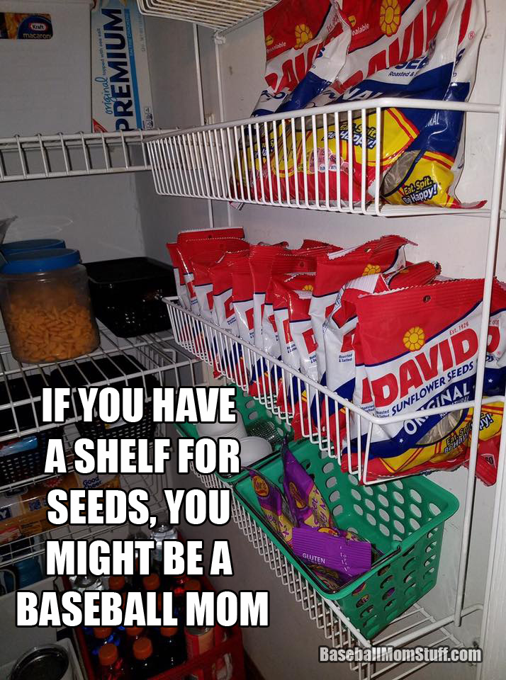 IF YOU HAVE A SHELF FOR SEEDS you might be a baseball mom meme