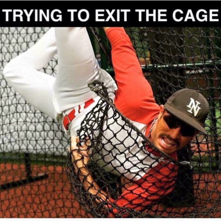 Baseball Memes and Quotes