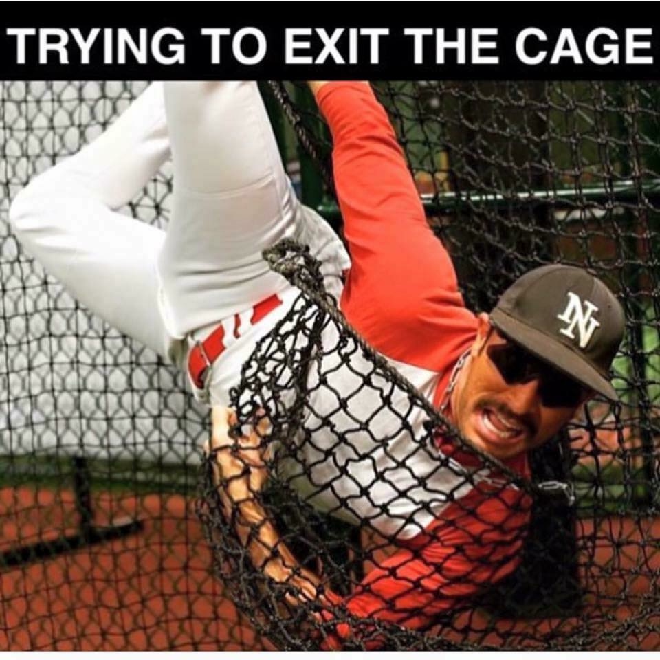 trying to exit the cage