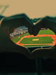 baseball heart in hands photo