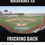 baseball is fricking back with stadium meme