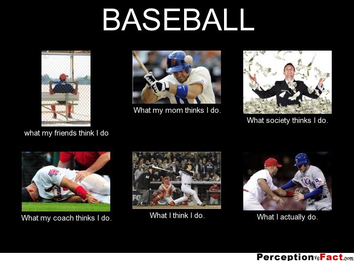baseball what people think i do meme