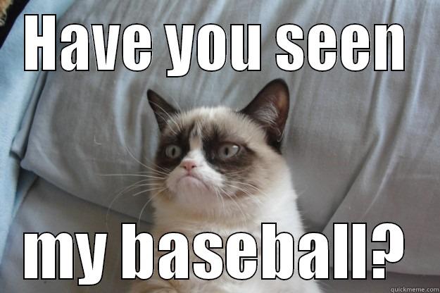 have you seen my baseball grumpy cat