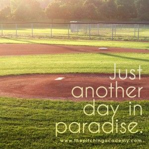 just another day in paradise baseball field meme