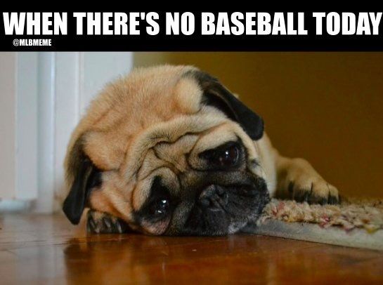 no baseball today dog meme