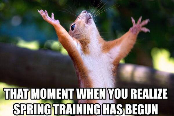 spring training squirrel meme