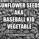 sunflower seeds aka baseball kid vegetable meme