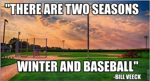 there are two seasons winter and baseball