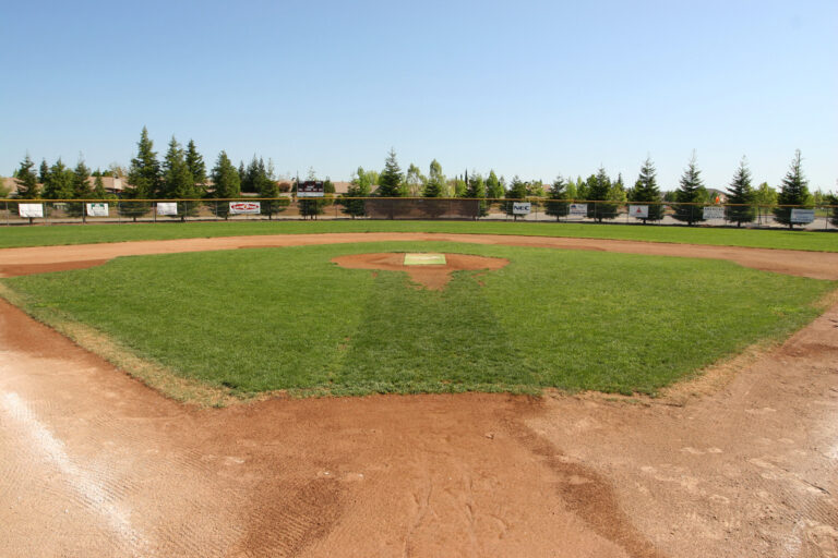 Balle De Baseball Diamond – Little League – 9 Pouces, 5 Oz – Cuir – Neuve