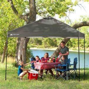 ozark 10 x 10 canopy