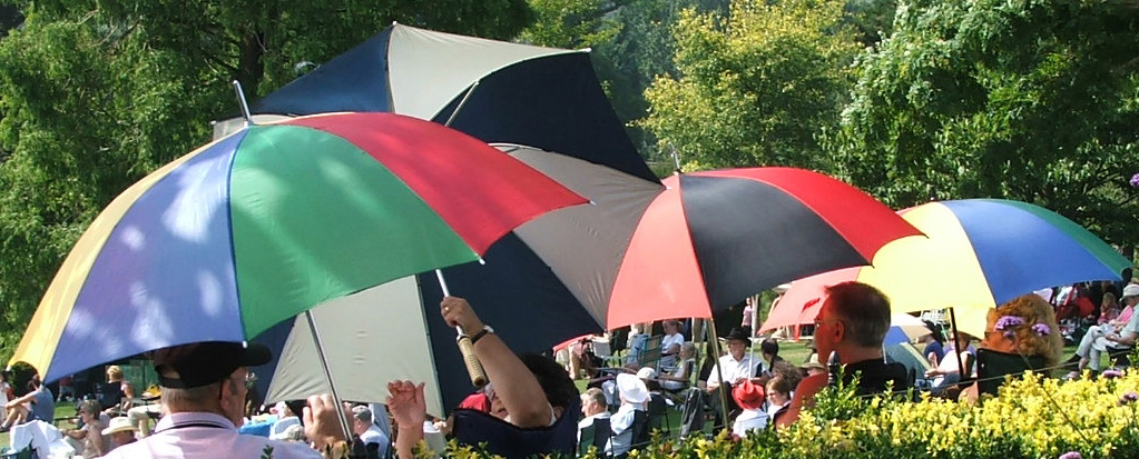 several fans with umbrellas