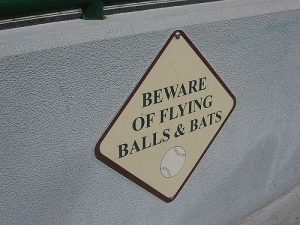 beware-of-flying-balls-and-bats