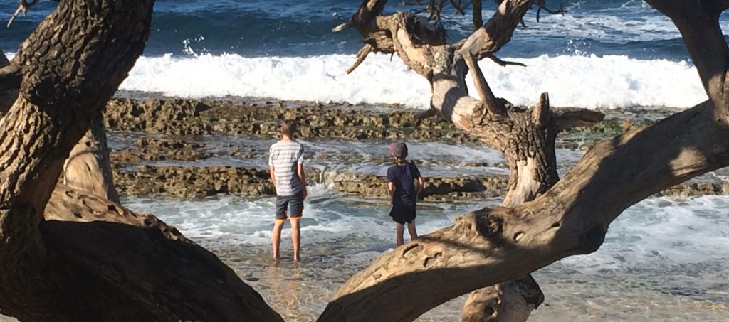 boys at beach through tree branches