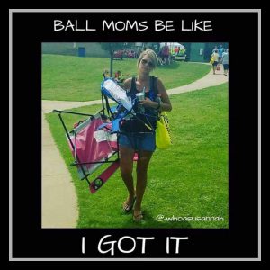 baseball moms be like i got it