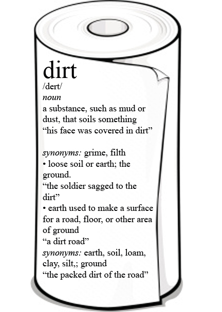 dirt definition on paper towels