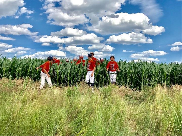 baseball players in corn field