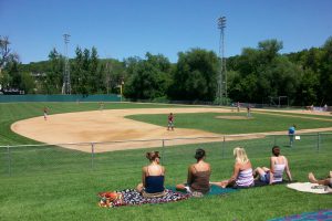 baseball fans watching a game