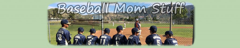 baseball mom stuff header for website