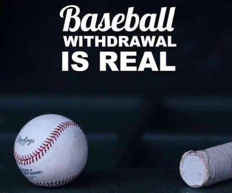 baseball withdrawal is real