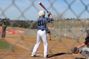 batter through fence