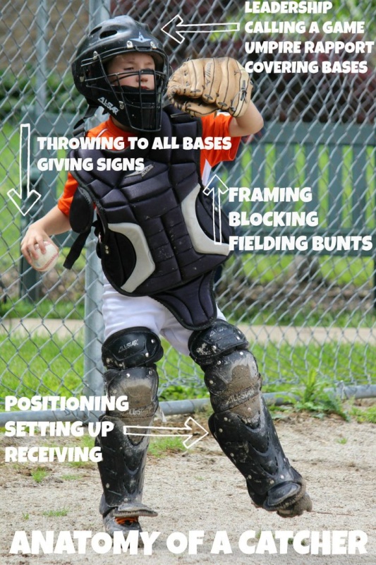 anatomy of a catcher