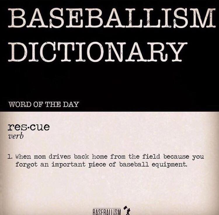 baseballism dictionary rescue