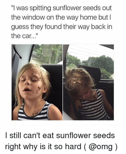 sunflower seeds fail