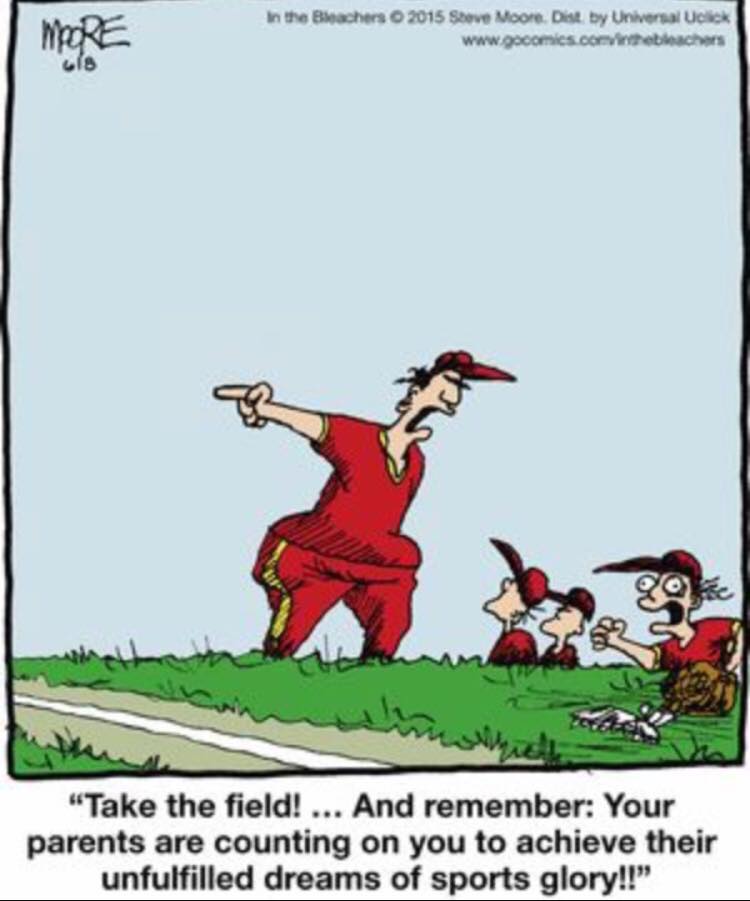 take the field baseball parent dreams comic