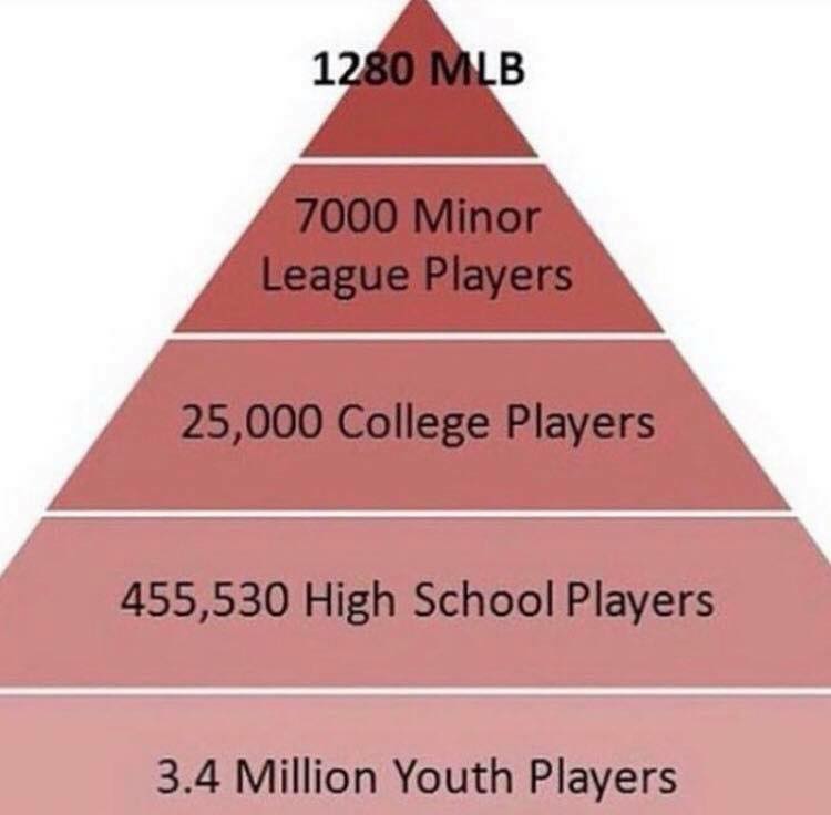 baseball reality pyramid