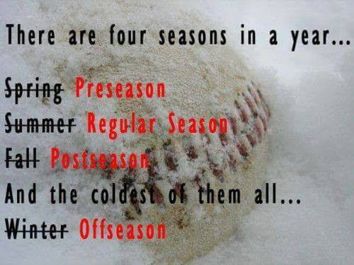 there are four seasons baseball meme