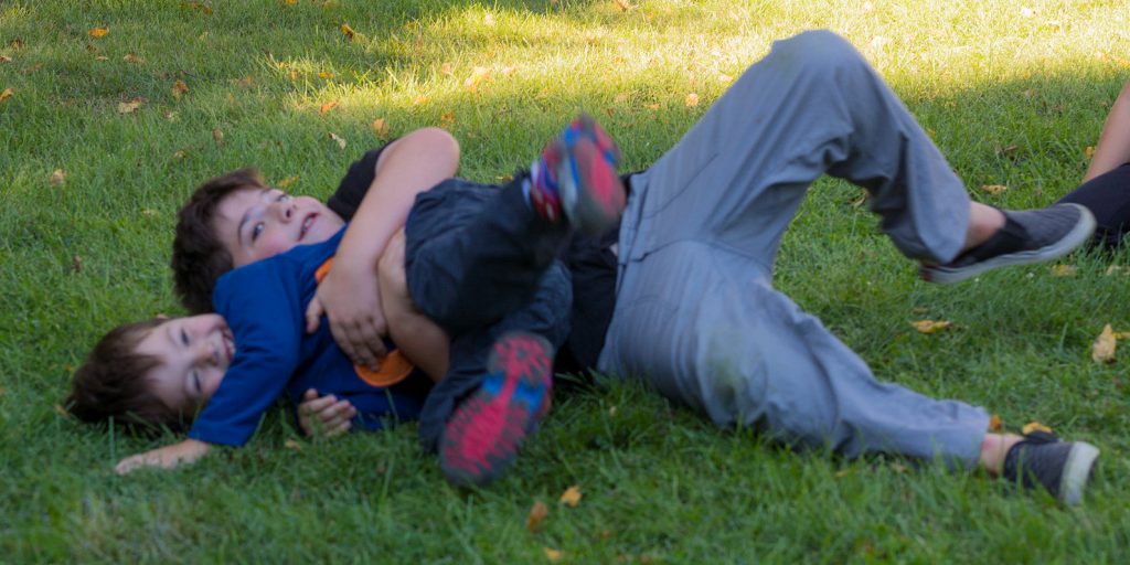 brothers wrestling in grass