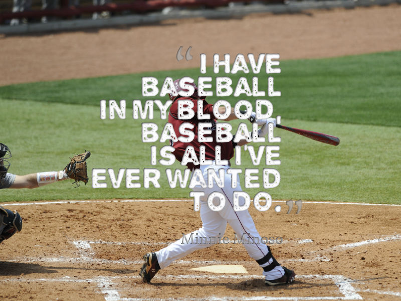 i have baseball in my blood motivational baseball quote