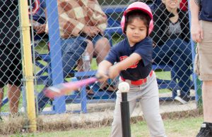 tee ball batter cropped