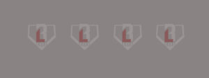 baseball lifestyle banner3