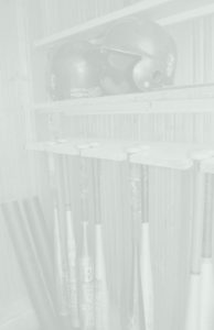 baseball bats with overlay copy