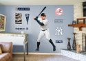 aaron judge decal