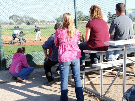 fans in the bleachers